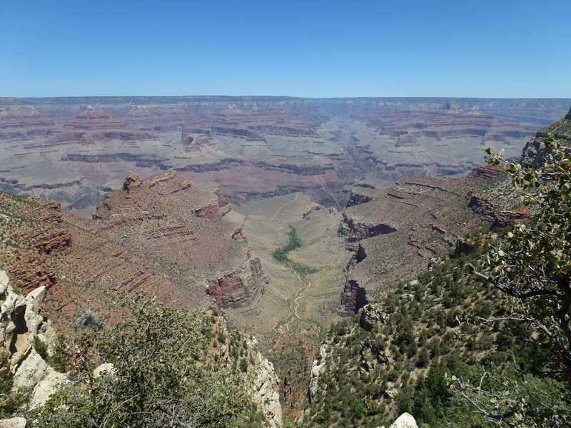 P1000446.JPG