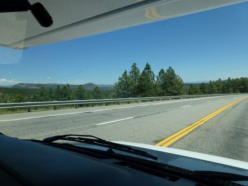 P1000717.JPG