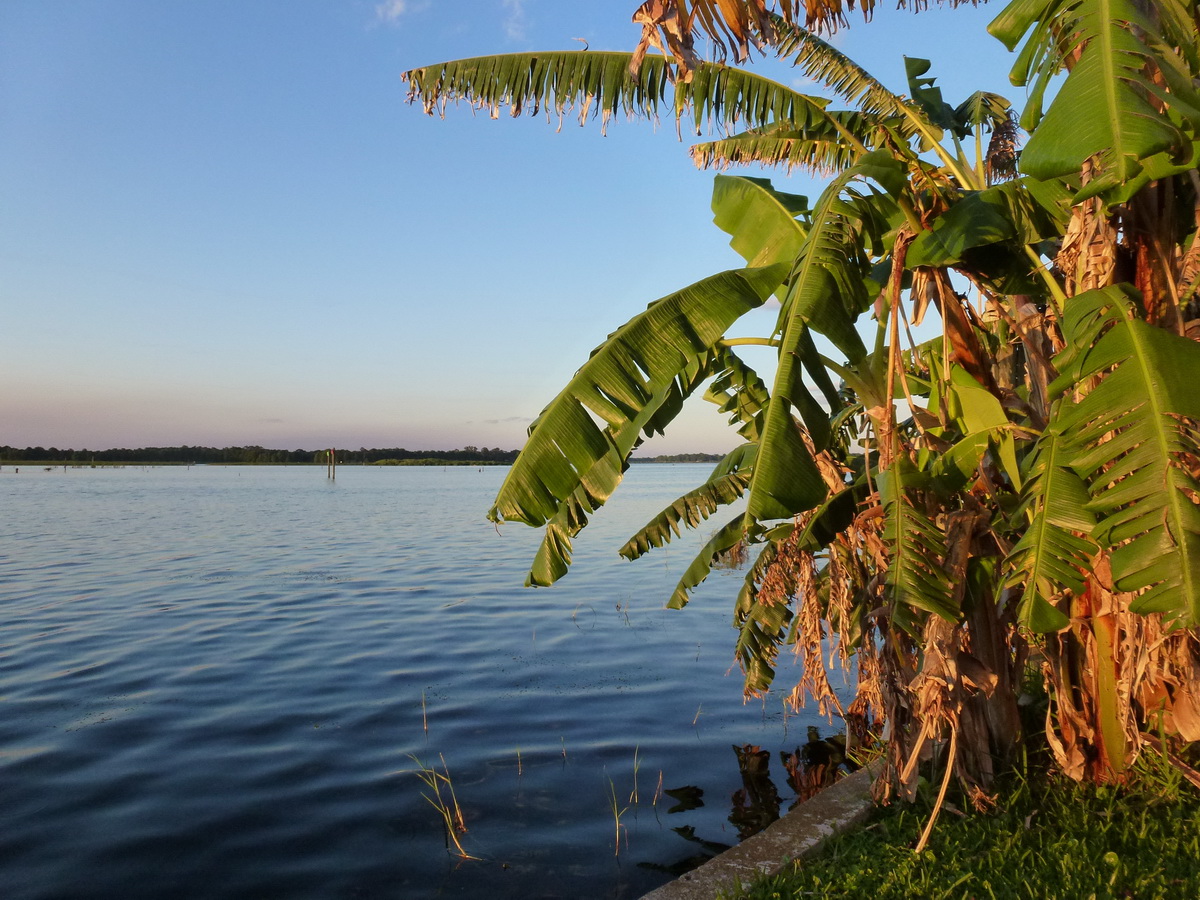 Florida2015_244.jpg