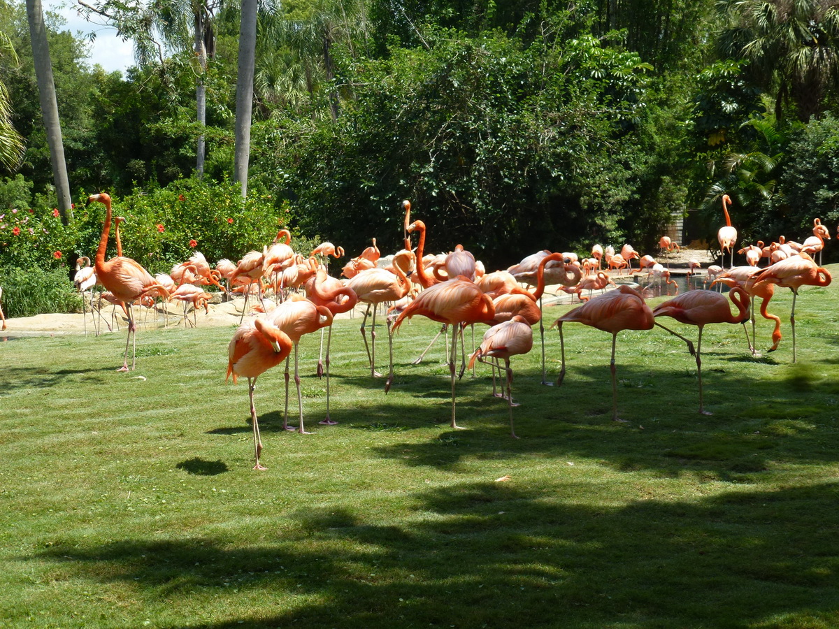 Florida2015_317.jpg