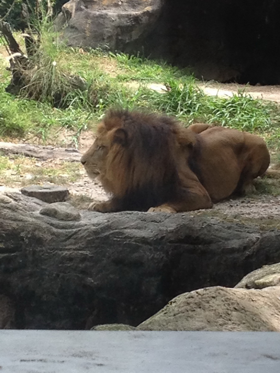 Florida2015_346.jpg