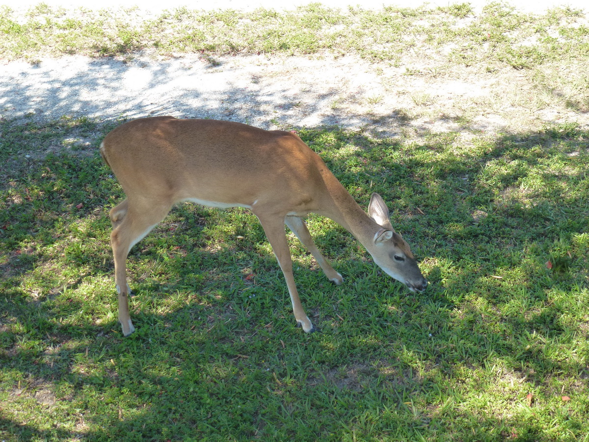 Florida2015_511.jpg