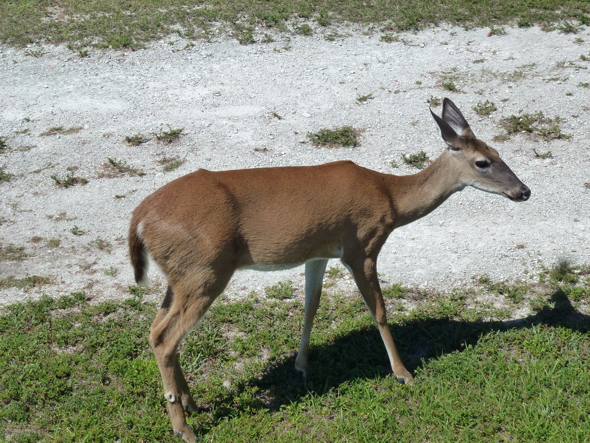 Florida2015_513.jpg