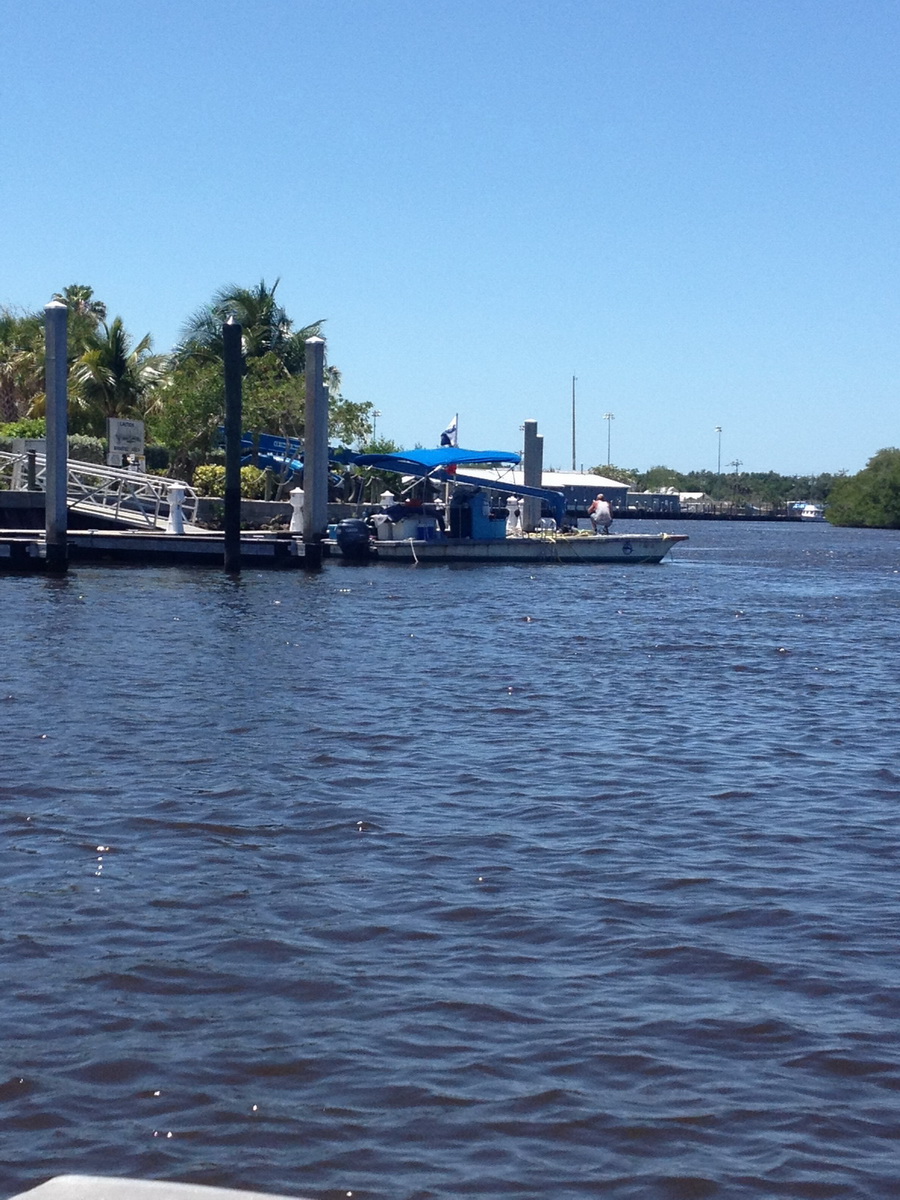 Florida2015_523.jpg