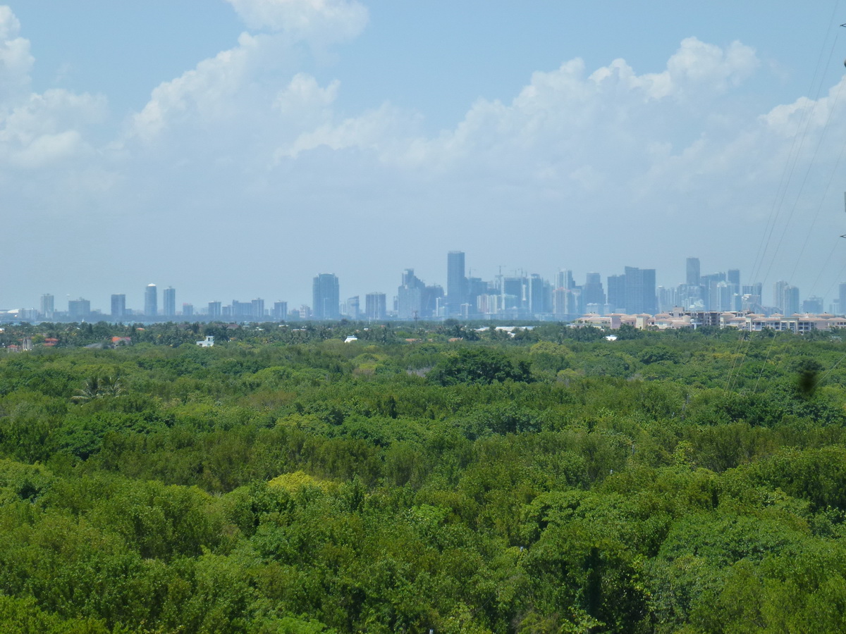 Florida2015_545.jpg