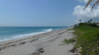 Dateiname=Florida2015_011.jpg
Dateigröße=248KB
Abmessungen: 1200x676
hinzugefügt am: 06. September 2015 Florida2015_011.jpg