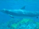 Florida2015_027.jpg