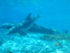 Florida2015_030.jpg