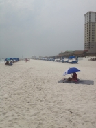 Florida2015_142.jpg