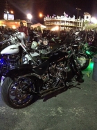 Dateiname=Florida2015_223.jpg
Dateigröße=482KB
Abmessungen: 900x1200
hinzugefügt am: 06. September 2015 Florida2015_223.jpg
