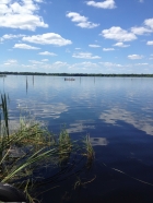 Dateiname=Florida2015_251.jpg
Dateigröße=350KB
Abmessungen: 900x1200
hinzugefügt am: 06. September 2015 Florida2015_251.jpg