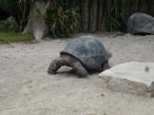 Dateiname=Florida2015_288.jpg
Dateigröße=524KB
Abmessungen: 1200x900
hinzugefügt am: 06. September 2015 Florida2015_288.jpg