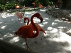 Dateiname=Florida2015_309.jpg
Dateigröße=437KB
Abmessungen: 1200x900
hinzugefügt am: 06. September 2015 Florida2015_309.jpg