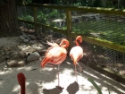 Dateiname=Florida2015_310.jpg
Dateigröße=515KB
Abmessungen: 1200x900
hinzugefügt am: 06. September 2015 Florida2015_310.jpg