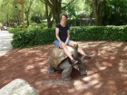 Dateiname=Florida2015_311.jpg
Dateigröße=666KB
Abmessungen: 1200x900
hinzugefügt am: 06. September 2015 Florida2015_311.jpg