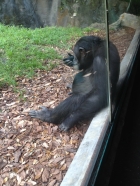 Dateiname=Florida2015_325.jpg
Dateigröße=489KB
Abmessungen: 900x1200
hinzugefügt am: 06. September 2015 Florida2015_325.jpg