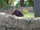 Dateiname=Florida2015_327.jpg
Dateigröße=485KB
Abmessungen: 1200x900
hinzugefügt am: 06. September 2015 Florida2015_327.jpg