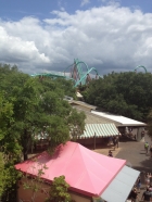 Dateiname=Florida2015_331.jpg
Dateigröße=401KB
Abmessungen: 900x1200
hinzugefügt am: 06. September 2015 Florida2015_331.jpg