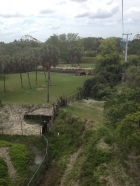 Dateiname=Florida2015_338.jpg
Dateigröße=425KB
Abmessungen: 900x1200
hinzugefügt am: 06. September 2015 Florida2015_338.jpg