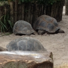 Dateiname=Florida2015_350.jpg
Dateigröße=421KB
Abmessungen: 1200x1200
hinzugefügt am: 06. September 2015 Florida2015_350.jpg