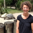 Dateiname=Florida2015_352.jpg
Dateigröße=496KB
Abmessungen: 1200x1200
hinzugefügt am: 06. September 2015 Florida2015_352.jpg
