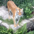 Dateiname=Florida2015_359.jpg
Dateigröße=443KB
Abmessungen: 1200x1200
hinzugefügt am: 06. September 2015 Florida2015_359.jpg