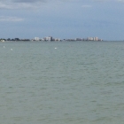 Dateiname=Florida2015_376.jpg
Dateigröße=299KB
Abmessungen: 1200x1200
hinzugefügt am: 06. September 2015 Florida2015_376.jpg