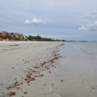 Dateiname=Florida2015_379.jpg
Dateigröße=387KB
Abmessungen: 1200x1200
hinzugefügt am: 06. September 2015 Florida2015_379.jpg