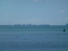 Dateiname=Florida2015_382.jpg
Dateigröße=249KB
Abmessungen: 1200x900
hinzugefügt am: 06. September 2015 Florida2015_382.jpg