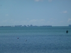 Florida2015_382.jpg