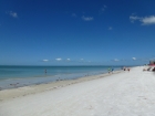 Dateiname=Florida2015_383.jpg
Dateigröße=224KB
Abmessungen: 1200x900
hinzugefügt am: 06. September 2015 Florida2015_383.jpg