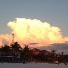 Dateiname=Florida2015_404.jpg
Dateigröße=314KB
Abmessungen: 1200x1200
hinzugefügt am: 06. September 2015 Florida2015_404.jpg
