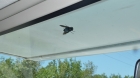 Dateiname=Florida2015_411.jpg
Dateigröße=170KB
Abmessungen: 1200x676
hinzugefügt am: 06. September 2015 Florida2015_411.jpg