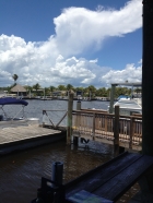 Dateiname=Florida2015_416.jpg
Dateigröße=355KB
Abmessungen: 900x1200
hinzugefügt am: 06. September 2015 Florida2015_416.jpg