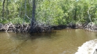 Dateiname=Florida2015_438.jpg
Dateigröße=424KB
Abmessungen: 1200x676
hinzugefügt am: 06. September 2015 Florida2015_438.jpg
