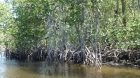 Dateiname=Florida2015_440.jpg
Dateigröße=522KB
Abmessungen: 1200x676
hinzugefügt am: 06. September 2015 Florida2015_440.jpg