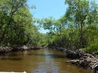 Dateiname=Florida2015_445.jpg
Dateigröße=722KB
Abmessungen: 1200x900
hinzugefügt am: 06. September 2015 Florida2015_445.jpg