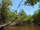 Dateiname=Florida2015_446.jpg
Dateigröße=646KB
Abmessungen: 1200x900
hinzugefügt am: 06. September 2015 Florida2015_446.jpg