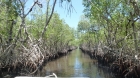 Dateiname=Florida2015_449.jpg
Dateigröße=490KB
Abmessungen: 1200x676
hinzugefügt am: 06. September 2015 Florida2015_449.jpg