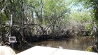 Dateiname=Florida2015_451.jpg
Dateigröße=509KB
Abmessungen: 1200x676
hinzugefügt am: 06. September 2015 Florida2015_451.jpg