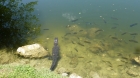 Dateiname=Florida2015_458.jpg
Dateigröße=272KB
Abmessungen: 1200x676
hinzugefügt am: 06. September 2015 Florida2015_458.jpg