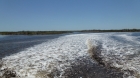 Dateiname=Florida2015_476.jpg
Dateigröße=311KB
Abmessungen: 1200x676
hinzugefügt am: 06. September 2015 Florida2015_476.jpg