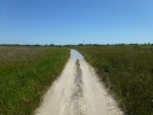 Dateiname=Florida2015_491.jpg
Dateigröße=390KB
Abmessungen: 1200x900
hinzugefügt am: 06. September 2015 Florida2015_491.jpg