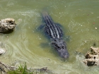 Dateiname=Florida2015_508.jpg
Dateigröße=517KB
Abmessungen: 1200x900
hinzugefügt am: 06. September 2015 Florida2015_508.jpg