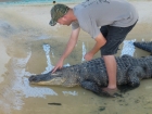Dateiname=Florida2015_514.jpg
Dateigröße=382KB
Abmessungen: 1200x900
hinzugefügt am: 06. September 2015 Florida2015_514.jpg