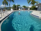 Dateiname=Florida2015_516.jpg
Dateigröße=509KB
Abmessungen: 1200x900
hinzugefügt am: 06. September 2015 Florida2015_516.jpg
