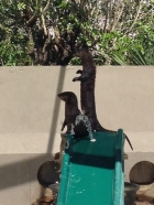 Dateiname=Florida2015_536.jpg
Dateigröße=319KB
Abmessungen: 900x1200
hinzugefügt am: 06. September 2015 Florida2015_536.jpg
