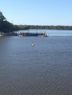 Dateiname=Florida2015_537.jpg
Dateigröße=353KB
Abmessungen: 900x1200
hinzugefügt am: 06. September 2015 Florida2015_537.jpg