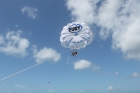 Dateiname=Florida2015_578.jpg
Dateigröße=157KB
Abmessungen: 1200x800
hinzugefügt am: 06. September 2015 Florida2015_578.jpg