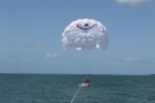 Dateiname=Florida2015_580.jpg
Dateigröße=183KB
Abmessungen: 1200x800
hinzugefügt am: 06. September 2015 Florida2015_580.jpg